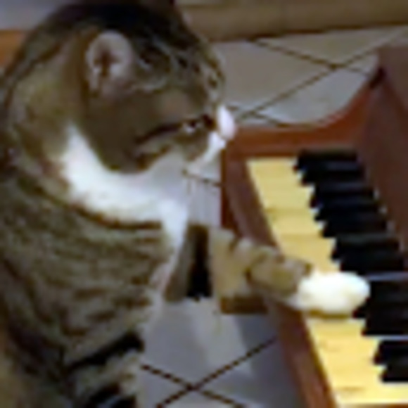 Meet your Posher, Alex - Picture 1 of 1